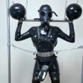 Femboy Bdsm — fotos e vídeos +18