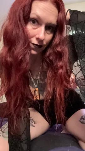 Scarlet Panes — fotos e vídeos +18