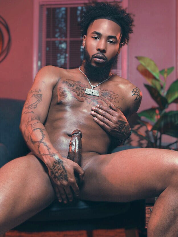 Prince Lee — fotos e vídeos +18