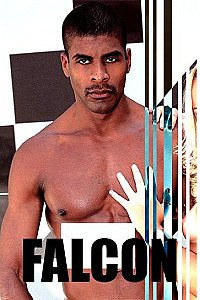 Falcon X - profil actrice