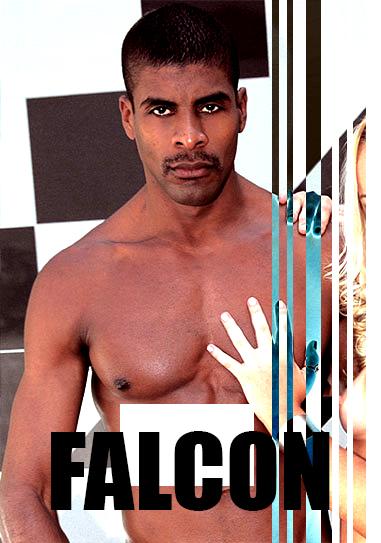 Falcon X