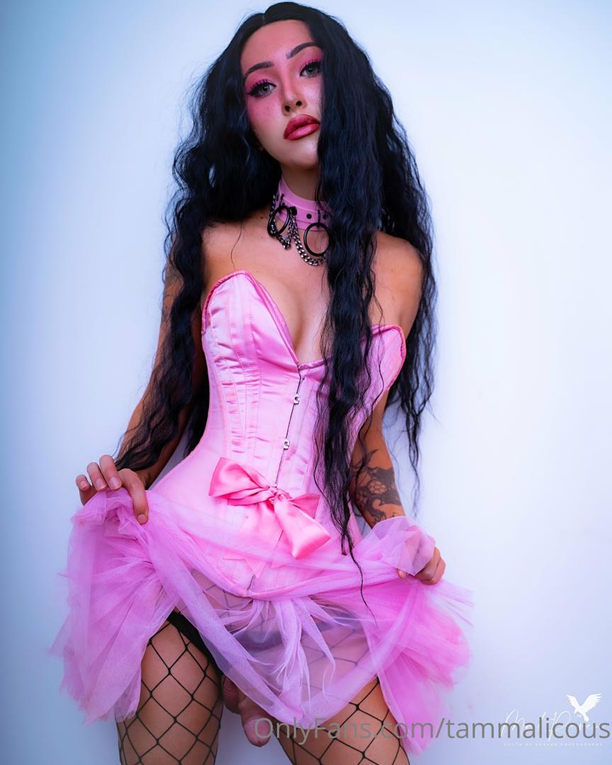 Tammy Dreamworx — fotos e vídeos +18