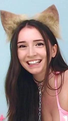 Kitten Sophie — fotos e vídeos +18