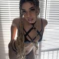 Belladonnarivae — fotos e vídeos +18