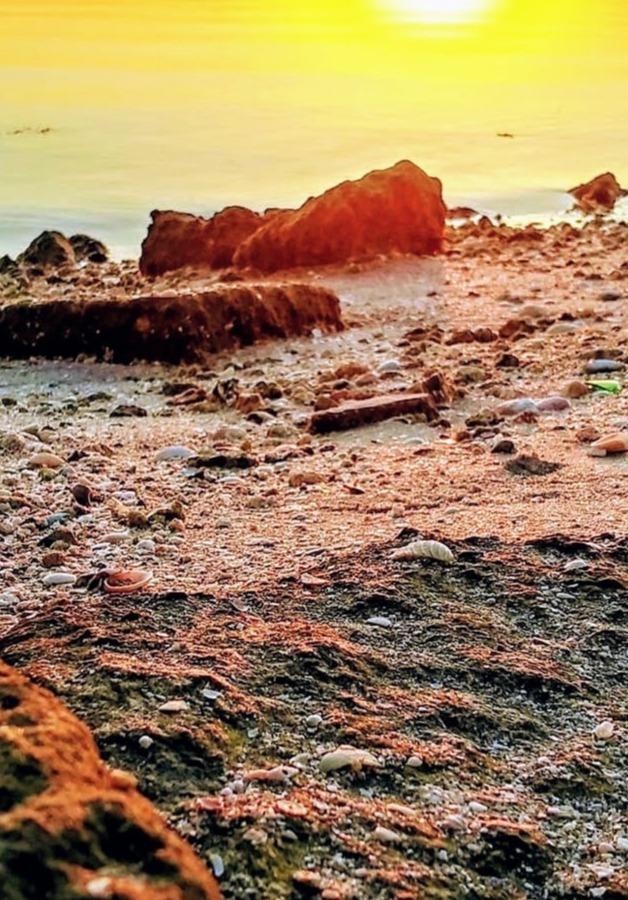 Rediulci0us — fotos e vídeos +18