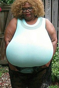 Norma Stitz