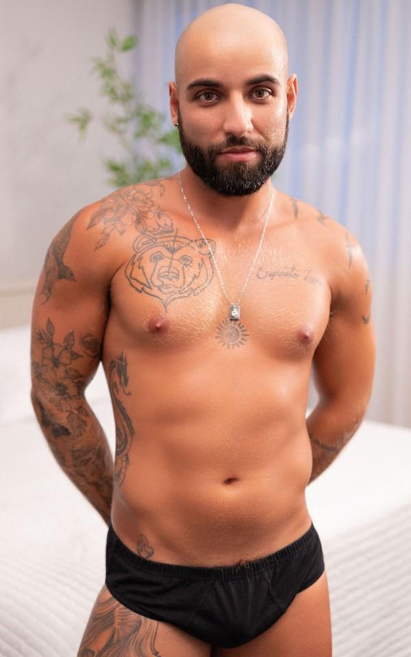 Gato Vira Lata