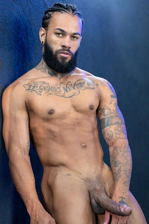 Andy Rodrigues photo 5