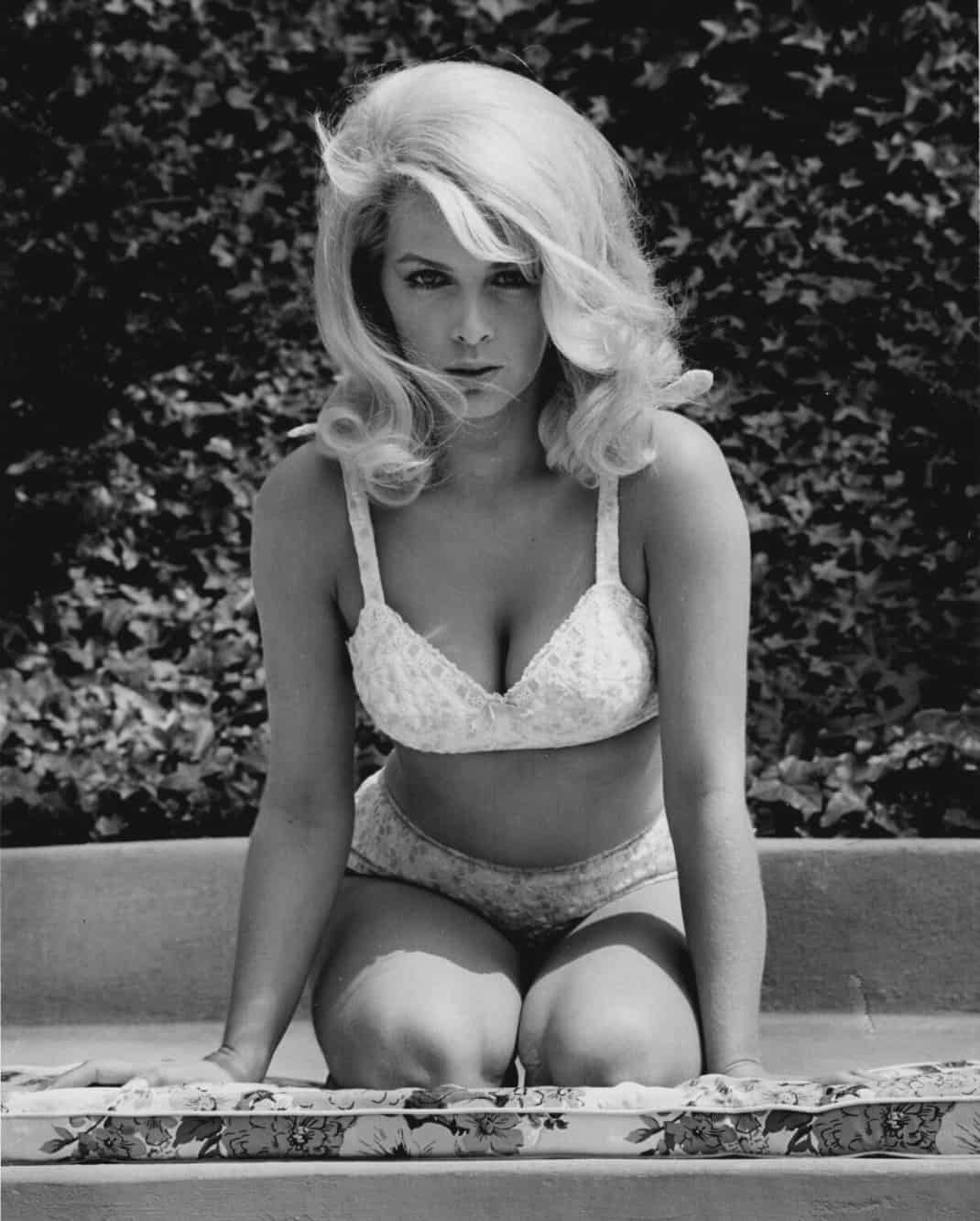 Dorina photo 4