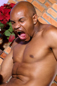 Capoeira photo 3