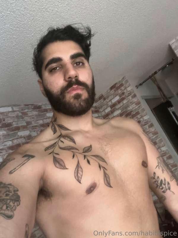 Habibi Spice — fotos e vídeos +18
