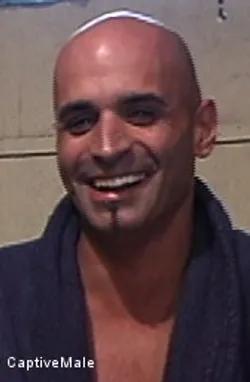 Diezel 13655