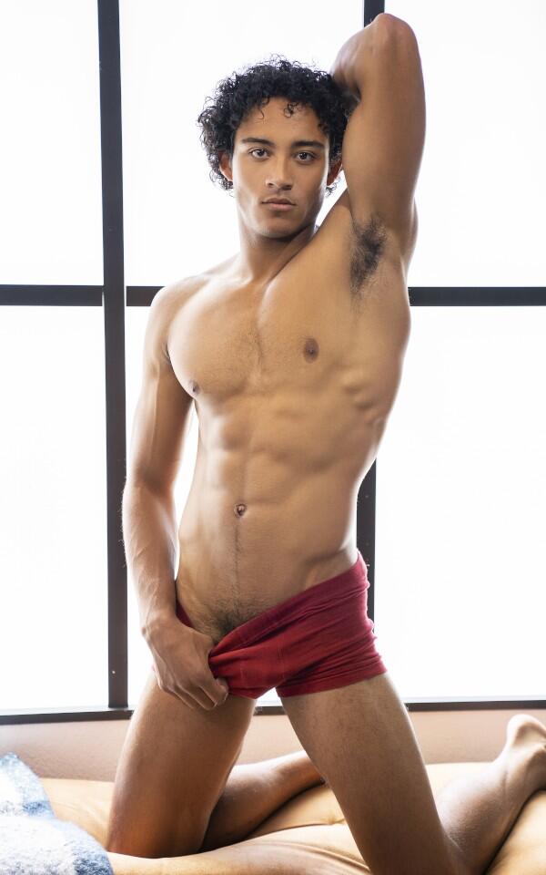 Shane 65228