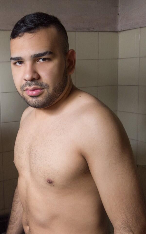 Adonis 66981