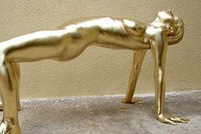 Golden Sabina
