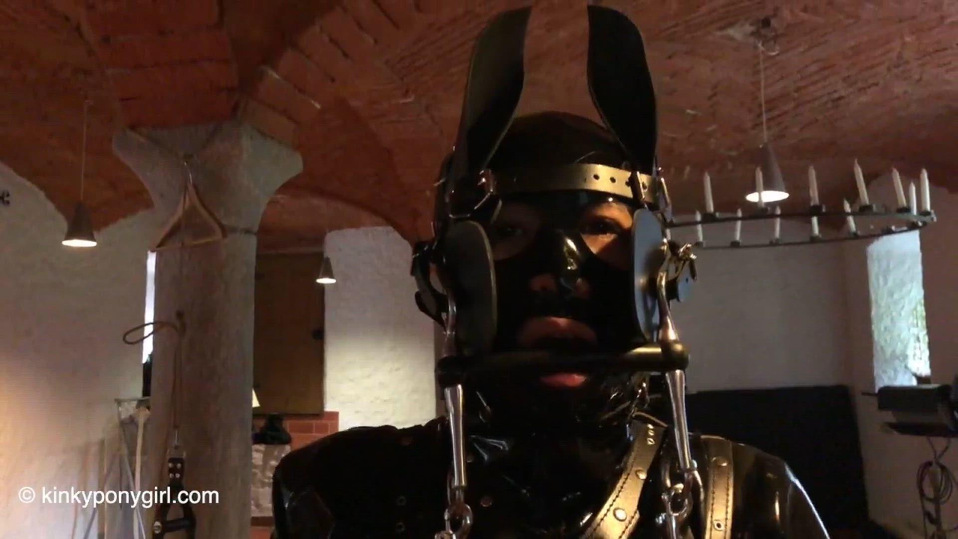 Domina Anna Rose Plays with Ponyboy F