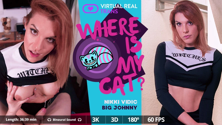 Where Is My Cat?