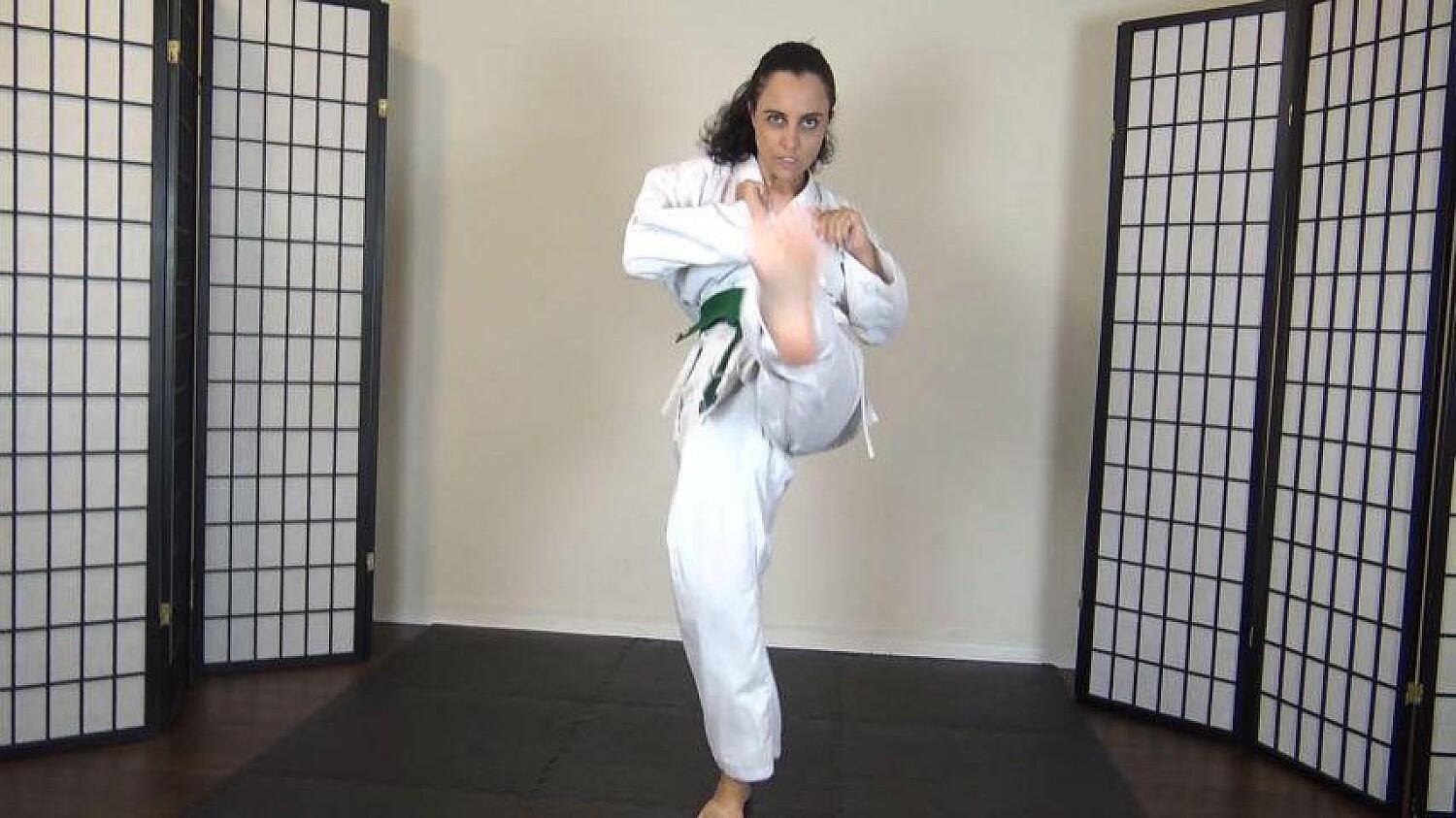 Roxanne Rae's Karate Kicks