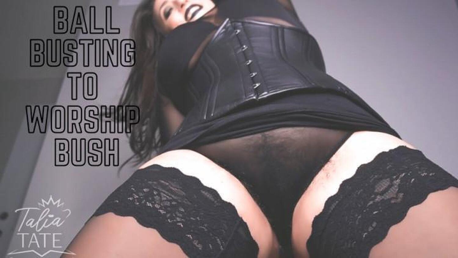 Ball Busting To Worship Bush