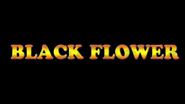 Black Flower - Xxxx - Wsg #45
