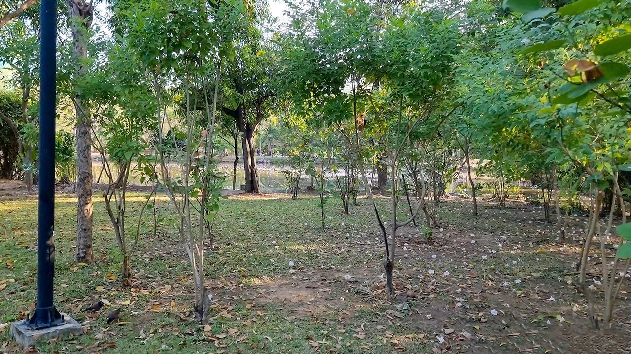 Phuket Walking Park Visit