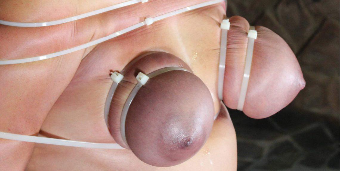 Hard Zip Tie Lesson For Nova Pink