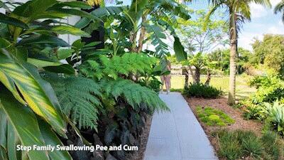 Nicole Rae- Spring Break Anal-Step Family Swallowing Pee And Cum