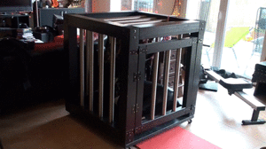 Cage Bound - Screenshot 1 of 4 - Bondage