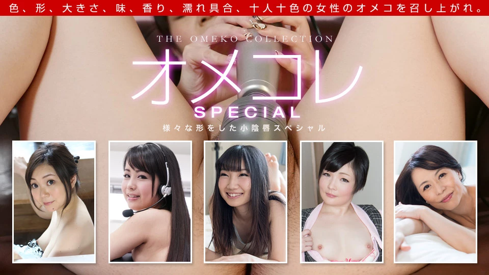 Pussy Collection: Various Small Labias