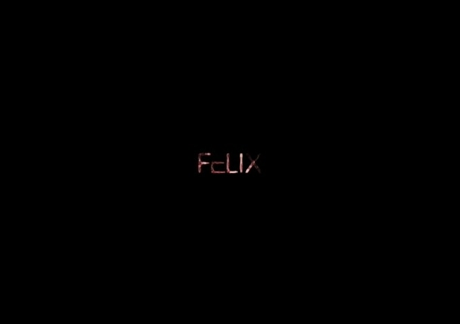 Felix the Lucky Slave 9