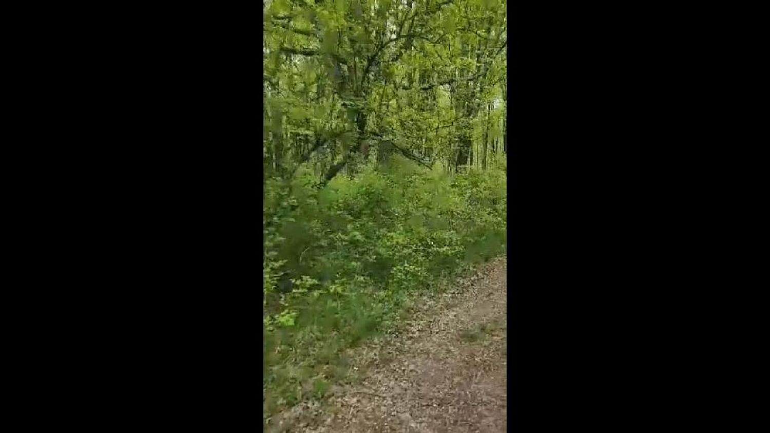 Cabin In The Woods Fuck