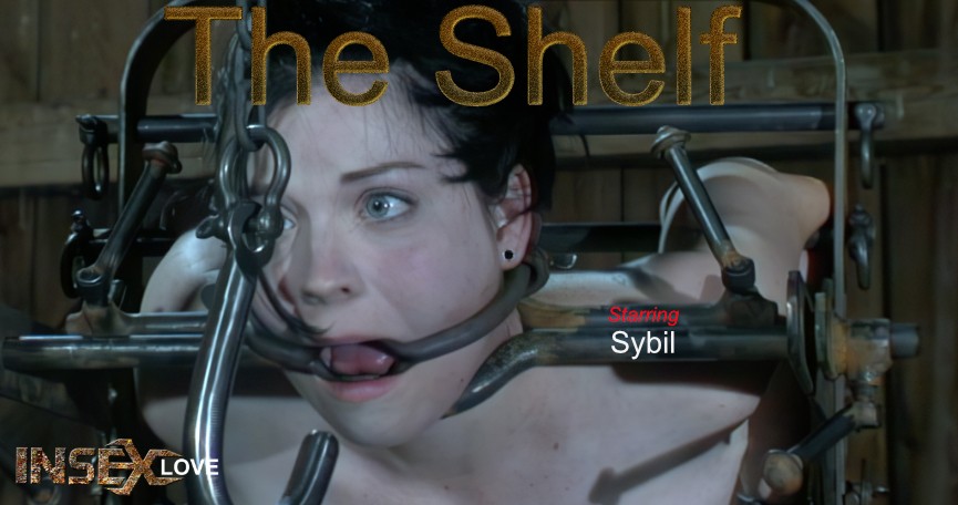 The Shelf