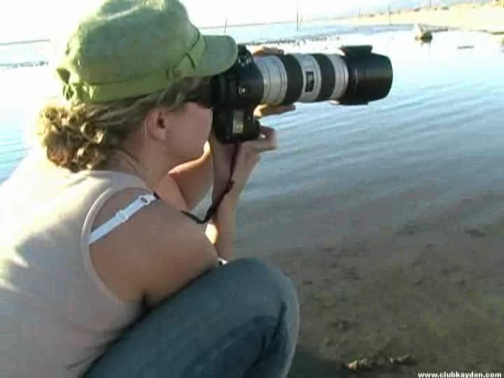 Salton Sea Montage