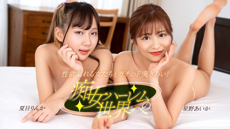 Welcome To The World Of Slutty Harems
