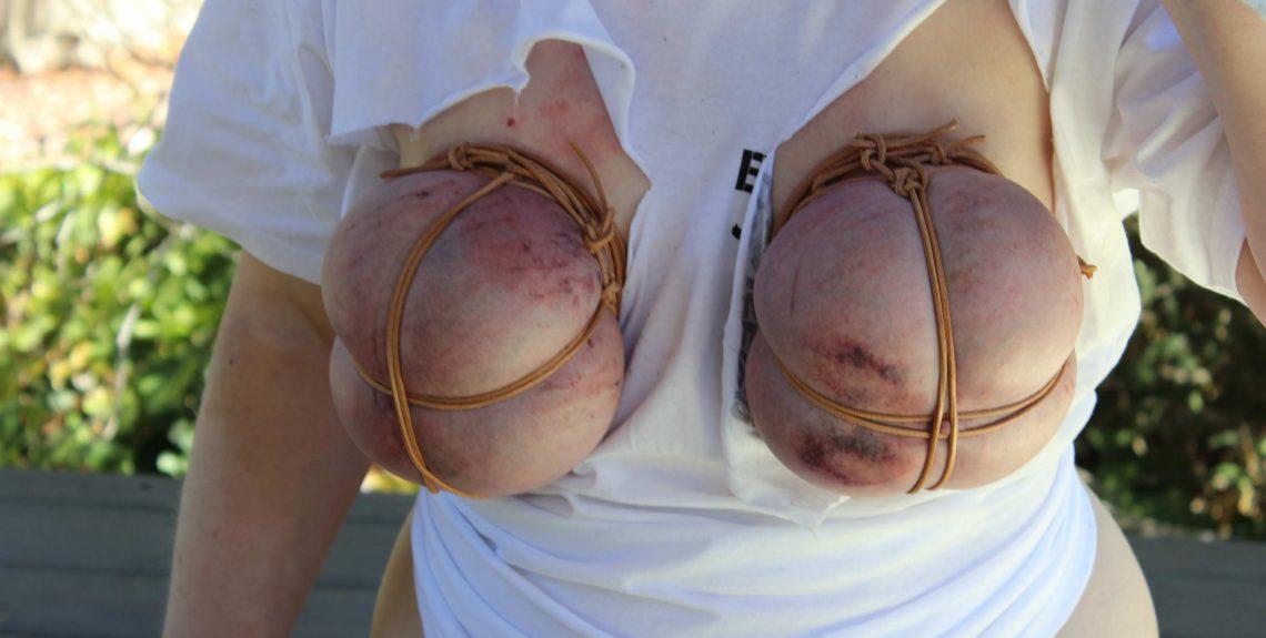 Tit Slave Cat In A Hard Breast Torture Lesson