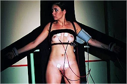 Lie Detector 1 - Tippy