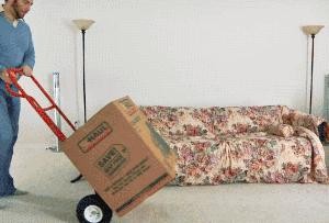 Body in the Box