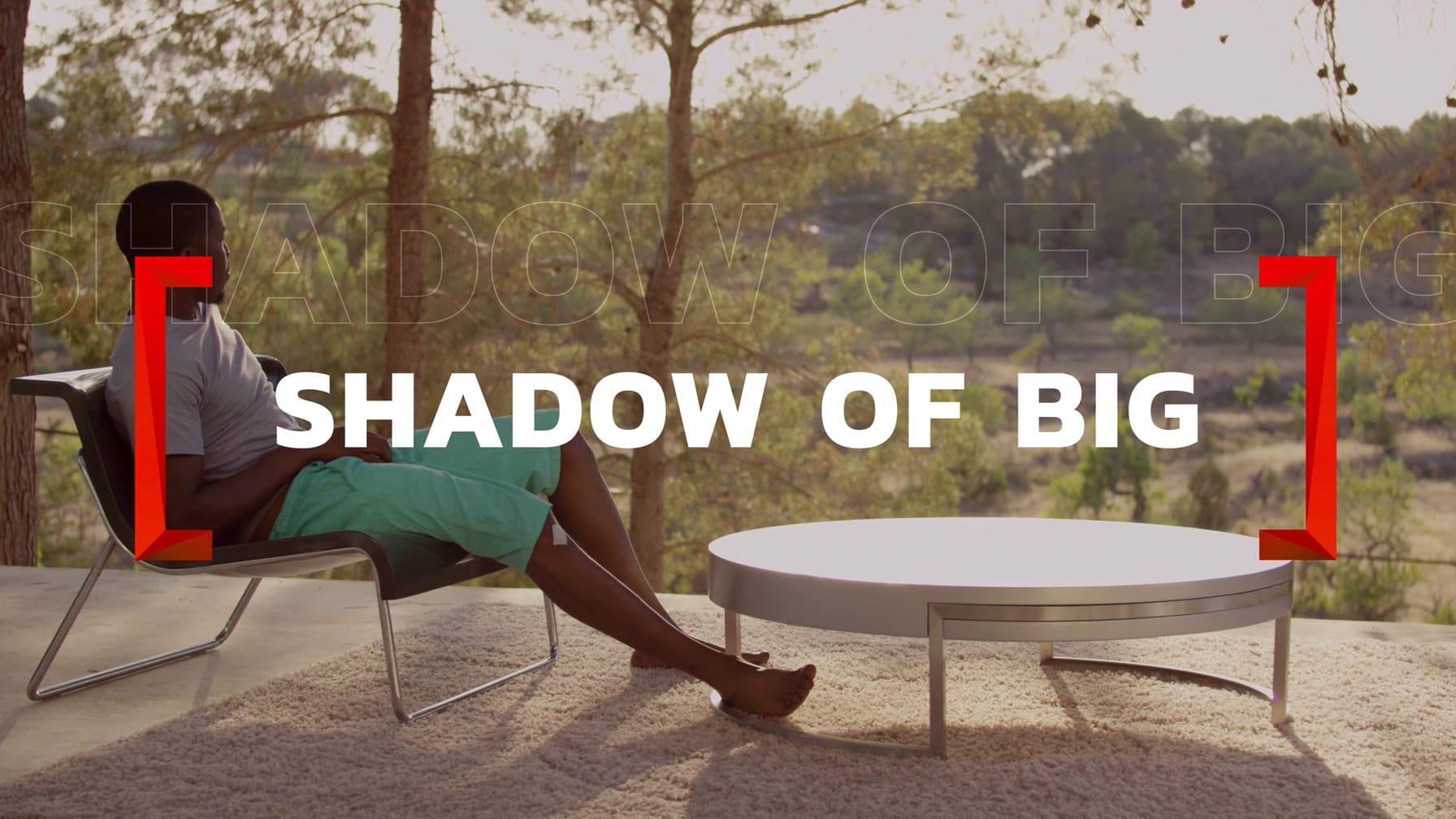 Shadow of Big