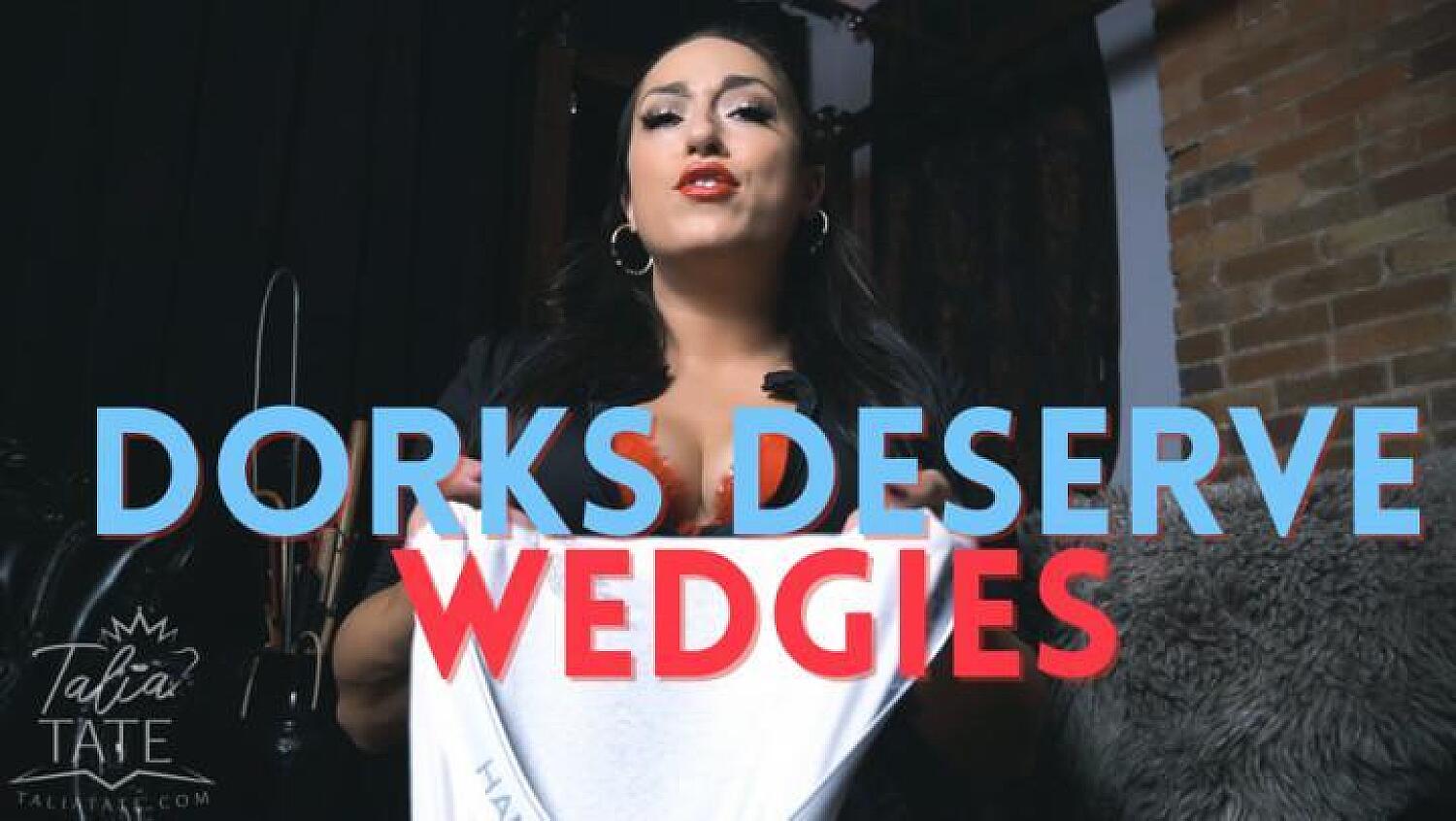 Dorks Deserve Wedgies Wedgie Fetish Humiliation