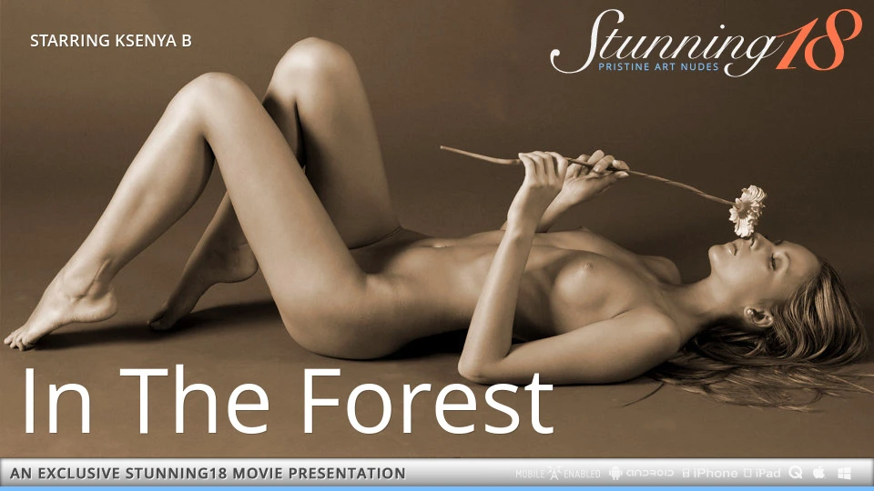 In the Forest