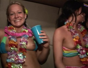 Hawaiian Party in a Limo