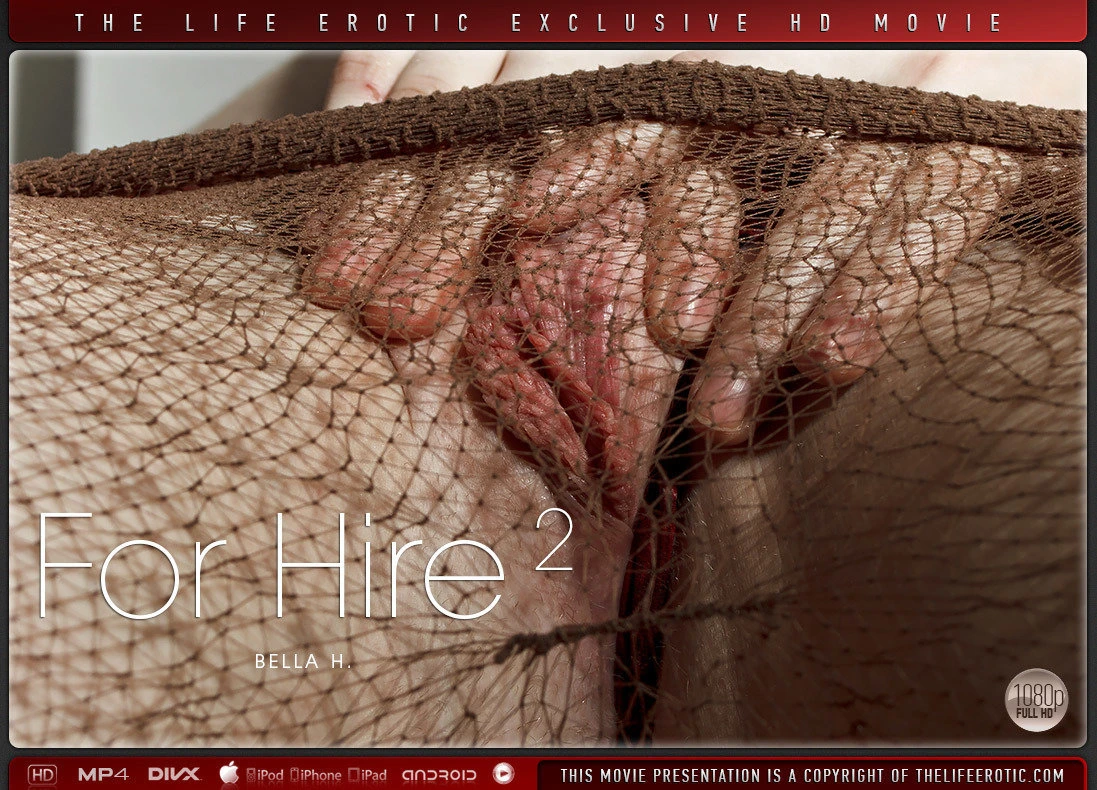 For Hire 2