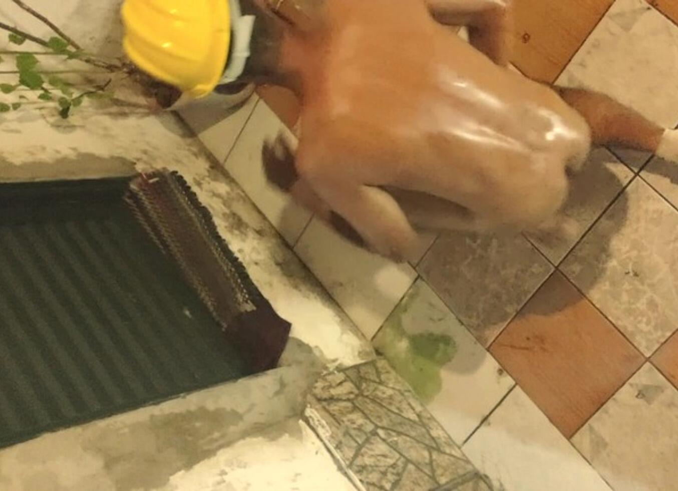Masterofpiss - Update #2025 - Extreme Piss Play - Jun 12, 2025