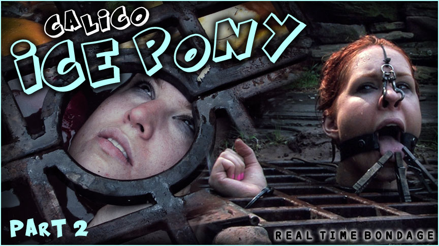 Ice Pony Ii