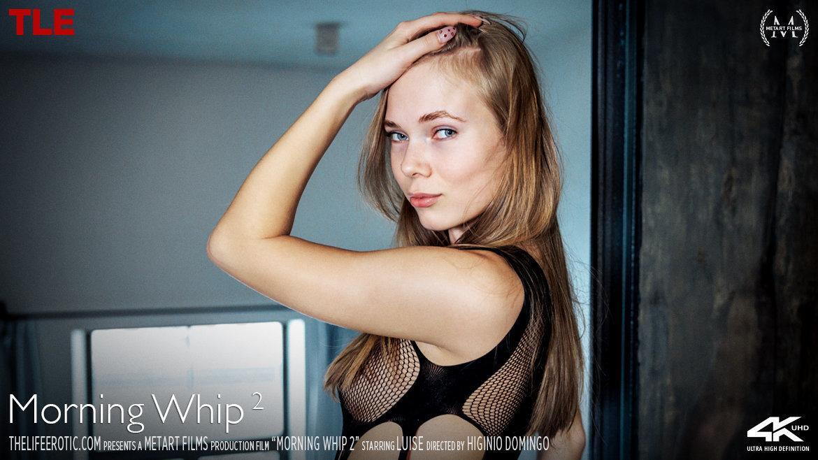 Morning Whip 2