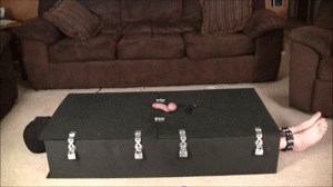 Cock Box - Screenshot 1 of 4