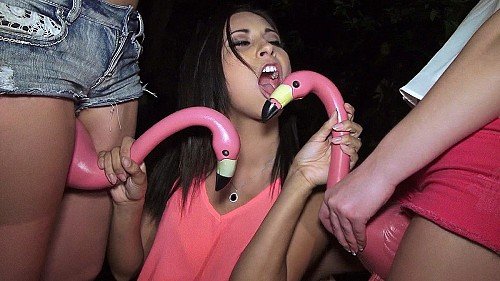 Epic Orgy with Three Horny Hos