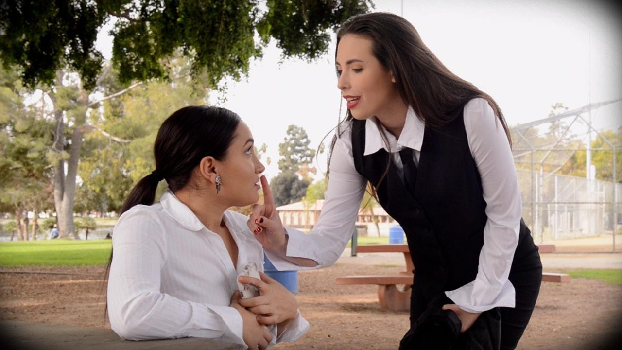 Secretary and the Stewardess