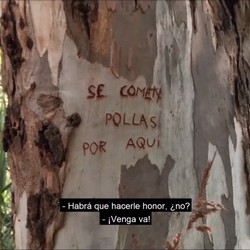 Monica Takes a Guy to the 'Dick Eating Tree'. Time to Eat!