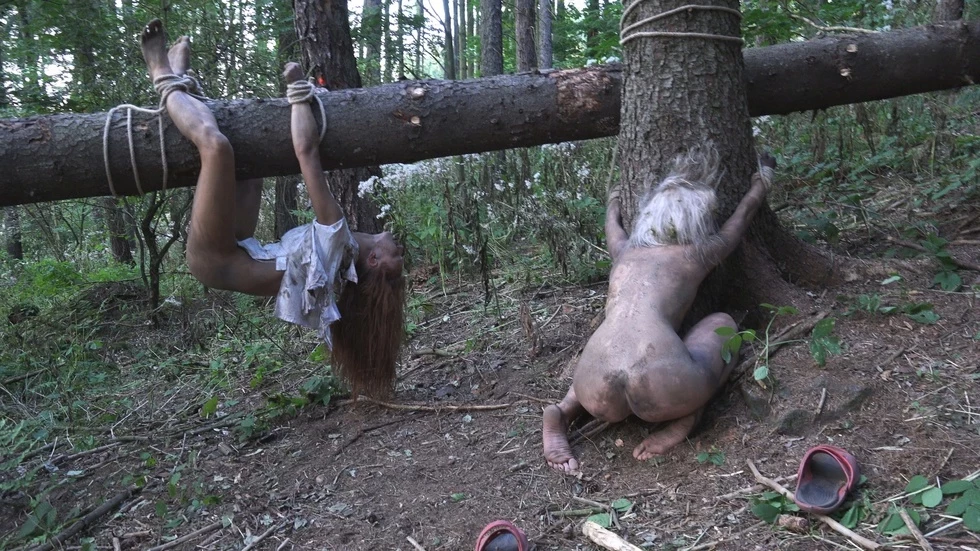 The Dark Side of the Woods